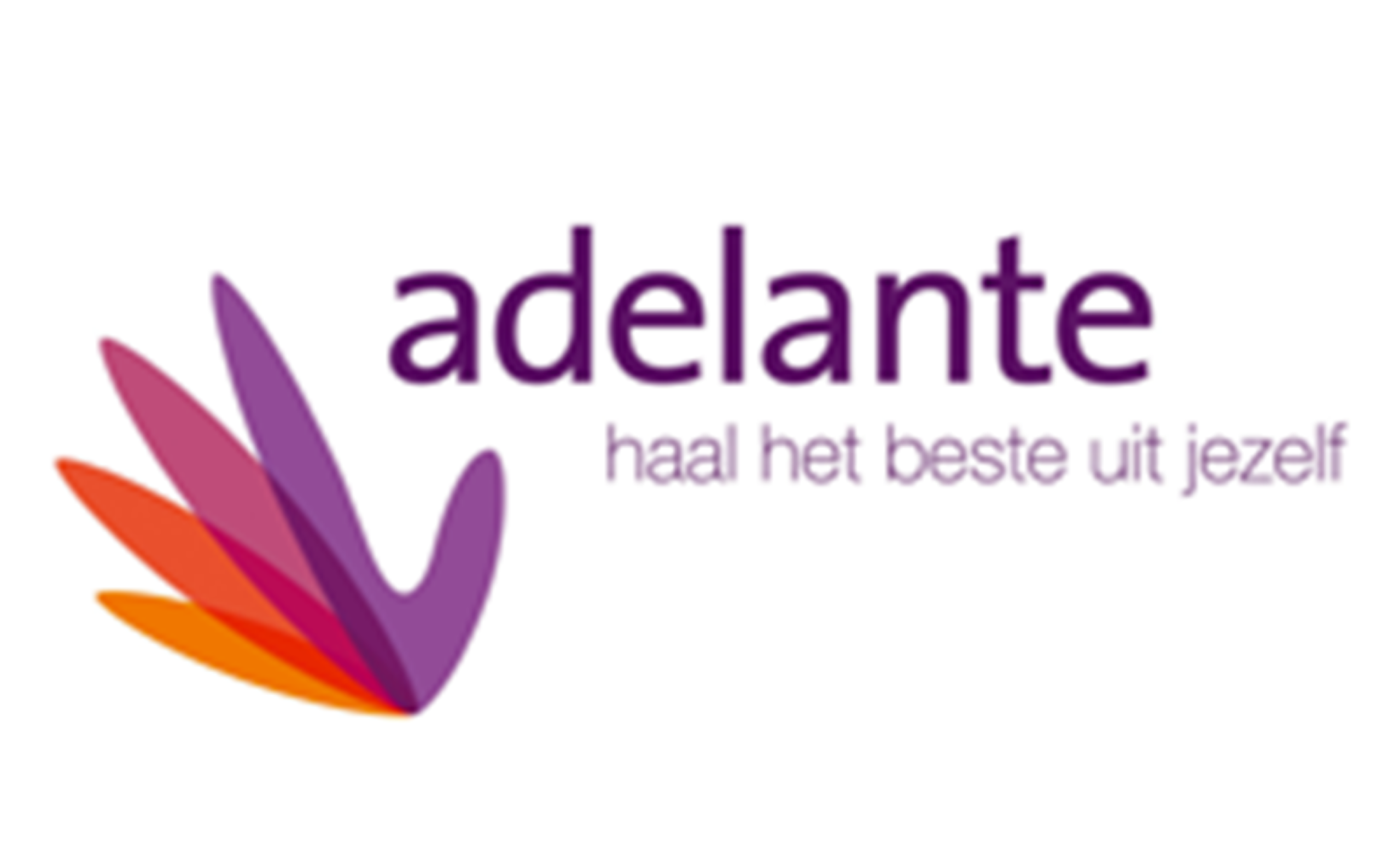 Adelante Groep